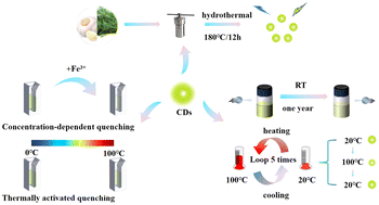 Graphical abstract: Green N,S-codoped carbon dots derived from fennel and garlic for selective Fe3+ sensing and robust colorimetric thermometry