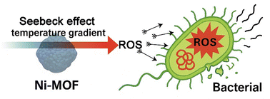 Graphical abstract: Ni-MOFs as potential nanomedicines for thermoelectrocatalytic ROS-mediated antibacterial applications driven solely by physiological temperature gradients