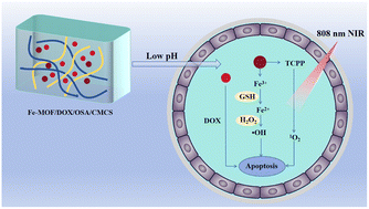 Graphical abstract: Metal–organic framework and doxorubicin co-encapsulated pH-responsive hydrogels for synergistic breast cancer therapy
