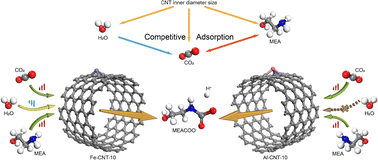 Graphical abstract: Regulation of competitive adsorption and reaction barriers for amine-based CO2 capture on metal-doped carbon nanotubes: molecular simulation and DFT study
