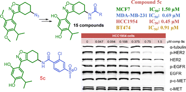 Graphical abstract: N-(4,5,6,7-Tetrahydrobenzo[d]isoxazol-5-yl)carboxamides as potential anticancer agents targeting HSP90 and oncogenic kinases