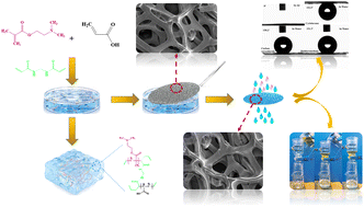 Graphical abstract: The preparation of a PAA-DM/nickel foam interpenetrating network composite material and its application in oil–water separation