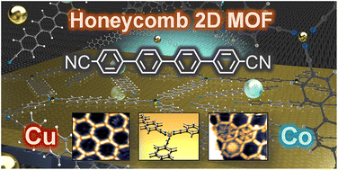Graphical abstract: Structurally robust quaterphenyl-dicarbonitrile 2D MOF nanopores on Cu(111) for cobalt spin-coordination motifs