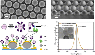 Graphical abstract: Boosting the NIR-I luminescence of lanthanide nanoparticles excited in NIR-II by plasmonic arrays
