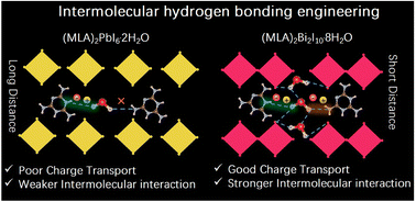 Graphical abstract: A high-performance photodetector enabled by melamine cation-based lead-free perovskitoid single crystals