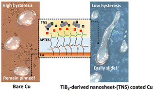 Graphical abstract: Titanium diboride–derived nanosheet coatings for enhanced condensation heat transfer