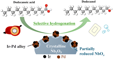 Graphical abstract: Hydrogenation of dodecanoic acid over niobium oxide-supported Ir–Pd bimetallic nanoparticles
