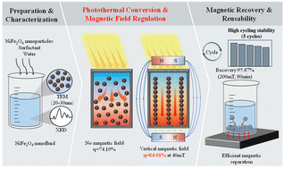 Graphical abstract: Photothermal characteristics and recovery rate of NiFe2O4 nanofluids under magnetic field regulation