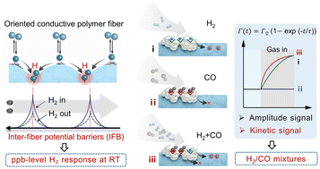 Graphical abstract: Kinetic-dimension-enabled hydrogen sensing via spillover in oriented conductive polymer fiber networks