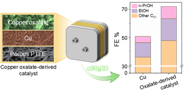 Graphical abstract: Electroreduction of carbon dioxide (CO2) at oxalate and polypyrrole modified copper surfaces