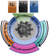 Graphical abstract: A built-in electric field induces a high-performance hydrogen evolution reaction on a self-supporting MoO2-NiP/NF heterojunction
