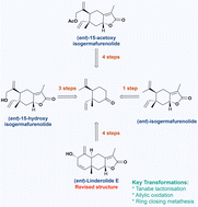 Graphical abstract: Total synthesis of (ent)-linderolide E and (ent)-15-hydroxy- and 15-acetoxyisogermafurenolides, and structural revision of (ent)-linderolide E