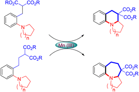 Graphical abstract: Mn(iii)-mediated oxidative cyclisation via C(sp3)–H functionalisation: an efficient strategy for benzo-fused aza-heterocycle synthesis