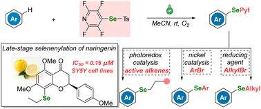 Graphical abstract: PyfSeTs as a novel and photosensitive reagent for green light-induced arene C–H selenenylation: a versatile strategy for the synthesis of aryl selenides