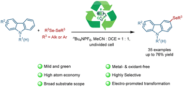 Graphical abstract: Electrochemical direct site-selective selenation of carbazoles