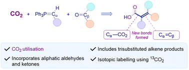 Graphical abstract: Synthesis of tri-substituted, aliphatic and 13C-labelled α,β-unsaturated carboxylic acids via Wittig CO2 utilisation reactions