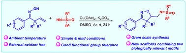 Graphical abstract: Copper-catalyzed radical 1,2-oxysulfoximination of β,γ-unsaturated oximes for the synthesis of sulfoximine-substituted isoxazolines