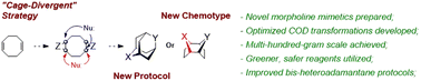 Graphical abstract: Cyclooctadiene-derived cage-divergent synthesis of heteroadamantanes and alternative polycyclic systems