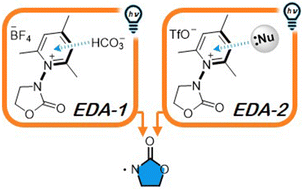 Graphical abstract: Visible-light-induced regioselective N-oxazolidinone radical addition to indoles and arenes via EDA complex formation