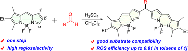 Graphical abstract: H2SO4-catalyzed one-step synthesis of β,β′-carbon-bridged bisBODIPYs from BODIPYs and aldehydes