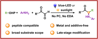 Graphical abstract: Visible-light-driven photocatalyst-free synthesis of N-aryl amino acids
