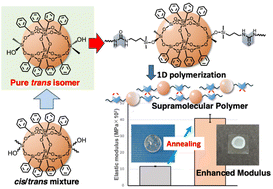 Graphical abstract: Stereochemically purified trans-dihydroxy-substituted cage silsesquioxane-based bisurea supramolecular polymer materials enable metastable-to-thermodynamic phase evolution and enhanced modulus