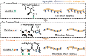 Graphical abstract: Elucidating the molecular design principles of N-alkylated nylons for LCST-type phase separation through a systematic polymer library