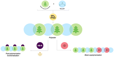Graphical abstract: Metal-free synthesis of terpene-derived polyester-block-polycarbonates and post-polymerization modification via thiol–ene click chemistry