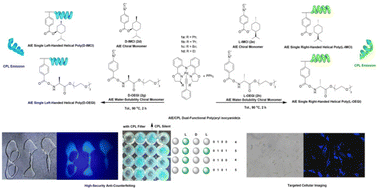 Graphical abstract: AIE/CPL dual-functional poly(aryl isocyanide)s synthesized using (S,S)-bis(oxazolinylphenyl)amido-ligated palladium phenylethynyl complexes: high-security anti-counterfeiting and targeted cellular imaging