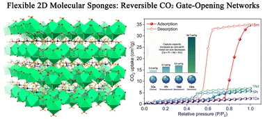 Graphical abstract: Reversible CO2 induced gate-opening and -closing pressures in 2D rare earth–oxalate coordination networks