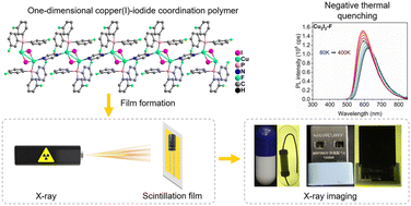 Graphical abstract: A negative thermal quenching one-dimensional copper(i)–iodide coordination polymer scintillator: enabling high-resolution X-ray imaging