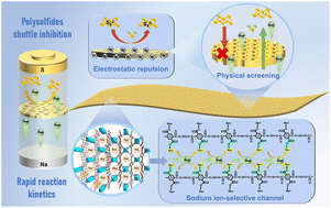 Graphical abstract: Constructing dynamic Na+ transport channels in RT Na–S battery separators to suppress polysulfide shuttling and accelerate reaction kinetics