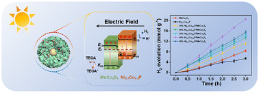 Graphical abstract: Ni0.7Co0.3P nanoparticle-loaded MnCo2S4 yolk–shell nanoflowers with a Z-scheme heterojunction for efficient photocatalytic hydrogen evolution