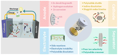Graphical abstract: Electrode/electrolyte interface design for multifunctional zinc–iodine batteries