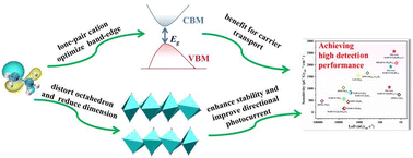 Graphical abstract: Engineering dimensionality and band-edges with lone-pair cations to achieve superior X-ray detection in metal-free perovskites
