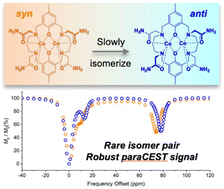 Graphical abstract: Separable syn/anti dinuclear Co(ii) macrocycles as robust high-performance paraCEST MRI probes
