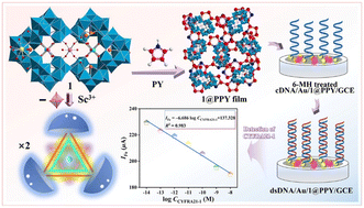 Graphical abstract: First tetrametallic 19-nuclear CeIII–ScIII–WVI–SbIII cluster-incorporated polyoxometalate for electrochemical biosensing of CYFRA21-1