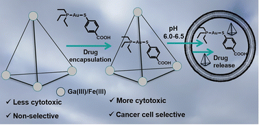 Graphical abstract: Cytotoxicity and immunogenic cell death studies of water-soluble tetrahedral Ga(iii) or Fe(iii) coordination cages containing a Au(i) anticancer drug as guest