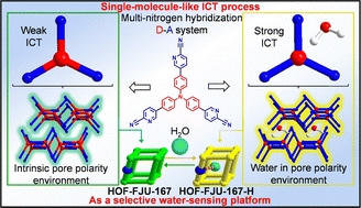 Graphical abstract: Single-molecule-like intramolecular charge transfer in a multi-nitrogen hybridization HOF for selective water detection