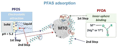 Graphical abstract: Mechanistic insights into PFOS and PFOA adsorption on acid-resistant MgTiO3