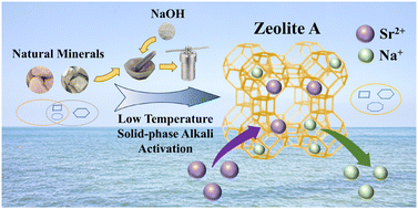 Graphical abstract: Commercial-grade zeolite A synthesis from natural stellerite and clinoptilolite for exceptional Sr2+ removal performance