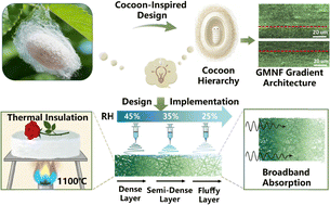 Graphical abstract: Cocoon-inspired gradient mullite nanofibrous aerogels for broadband sound absorption and thermal insulation