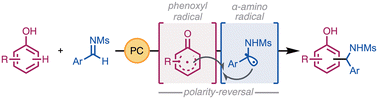 Graphical abstract: Photocatalytic coupling of phenols with imines via polarity reversal
