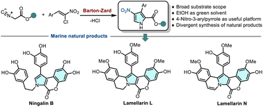Graphical abstract: A 4-nitro-3-arylpyrrole platform for the divergent synthesis of marine natural products: Ningalins and Lamellarins