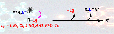 Graphical abstract: Strong base-induced transition-metal-free single electron transfer reactions mediated by amine species