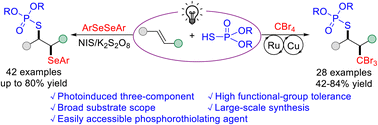 Graphical abstract: Visible-light-mediated multicomponent tribromomethyl-/arylseleno-phosphorothiolation of alkenes