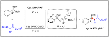 Graphical abstract: Lewis base/alkali metal halide co-catalyzed allylic alkylation of gem-diborylalkanes with MBH carbonates for the construction of tert-alkylboronic esters