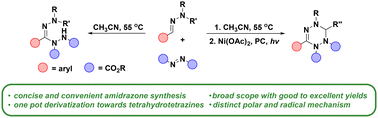 Graphical abstract: Synthesis and derivatization of N-amino amidrazones via coupling of aldehyde hydrazones with dialkyl azodicarboxylates