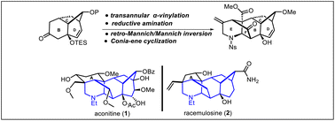 Graphical abstract: An expedient modeling construction of a BCDEF pentacyclic ring system analog of aconitine and racemulosine