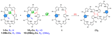Graphical abstract: A mono-meso-free N-confused hexaphyrin with tunable NIR absorption: synthesis, coordination, and oxidative dimerization